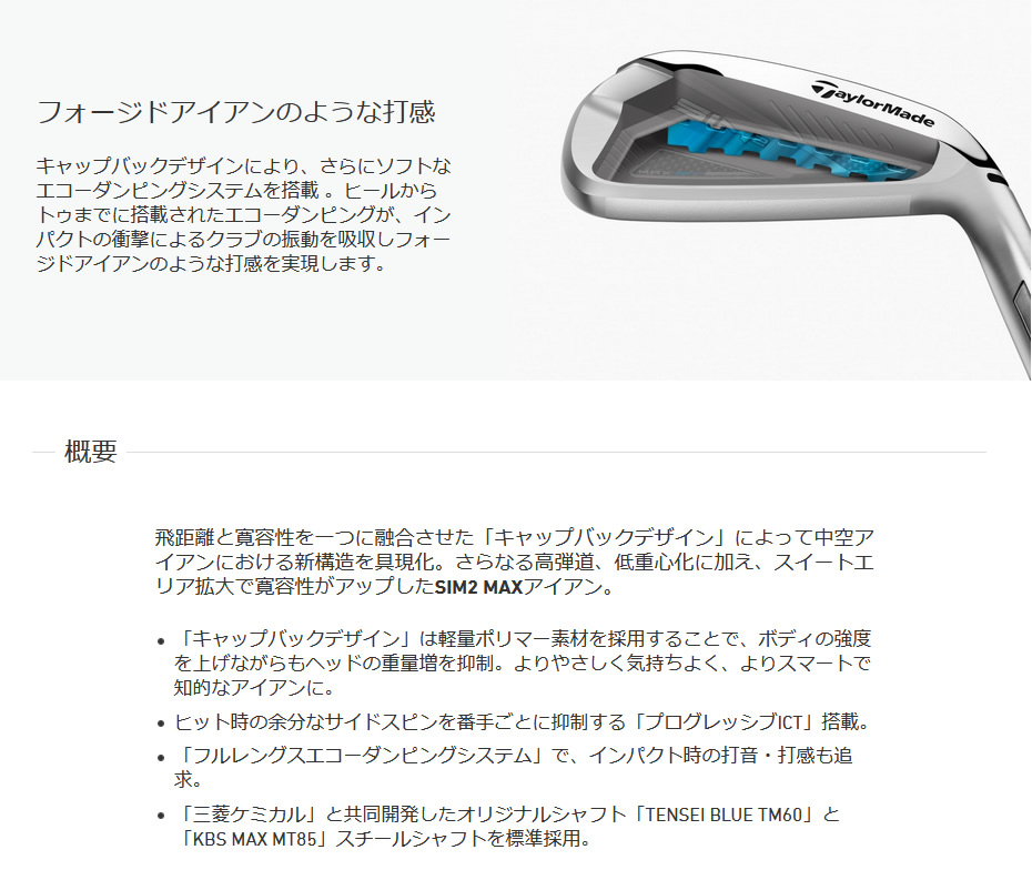 日本仕様 テーラーメイド SIM2 MAX シム2 マックス #6-PW 5本 アイアンセット 純正カーボン TENSEI BLUE TM60  (’21) フレックス：R-GolfProtection